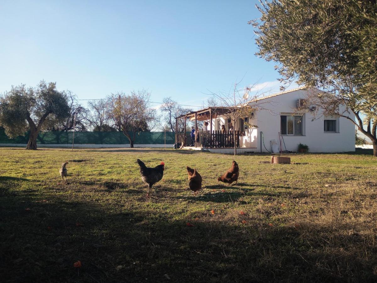 Casa De Campo Los Manueles Ideal Perros Pet Friendly Gojar Exterior photo