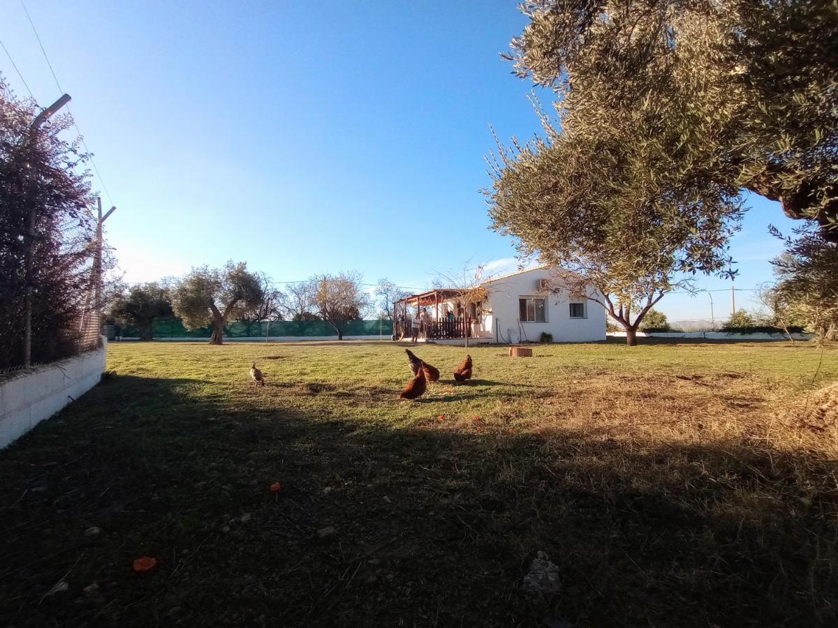 Casa De Campo Los Manueles Ideal Perros Pet Friendly Gojar Exterior photo