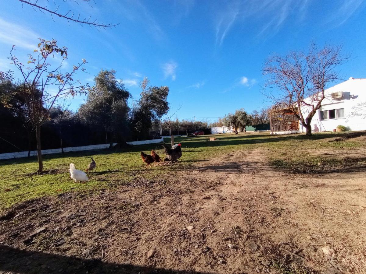 Casa De Campo Los Manueles Ideal Perros Pet Friendly Gojar Exterior photo