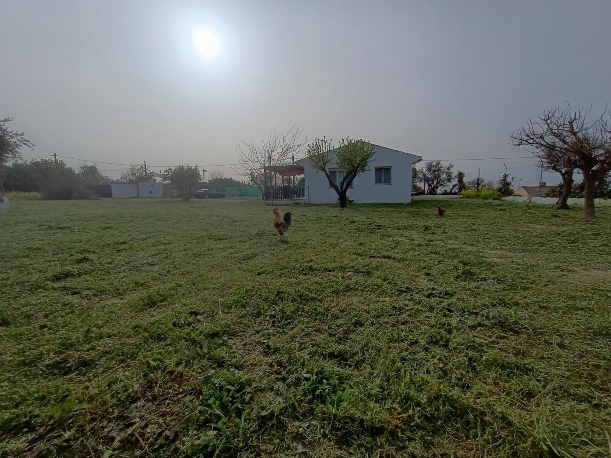 Casa De Campo Los Manueles Ideal Perros Pet Friendly Gojar Exterior photo