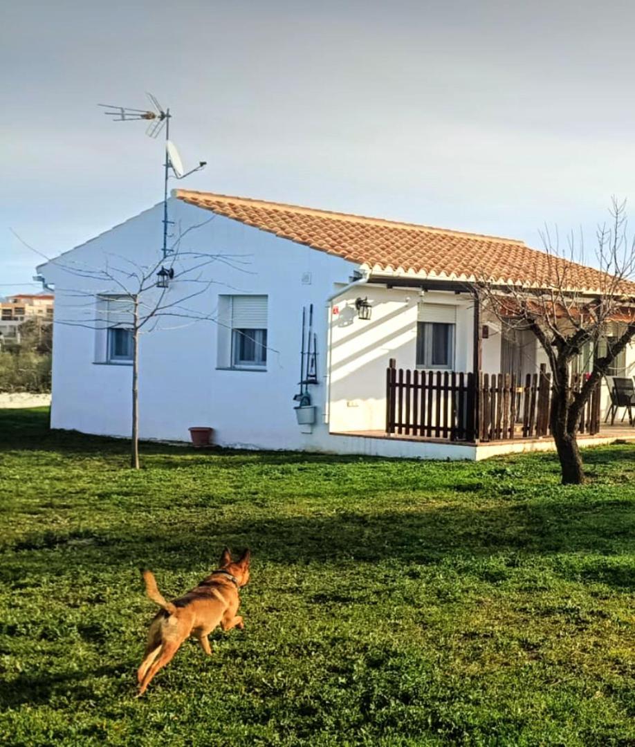 Casa De Campo Los Manueles Ideal Perros Pet Friendly Gojar Exterior photo