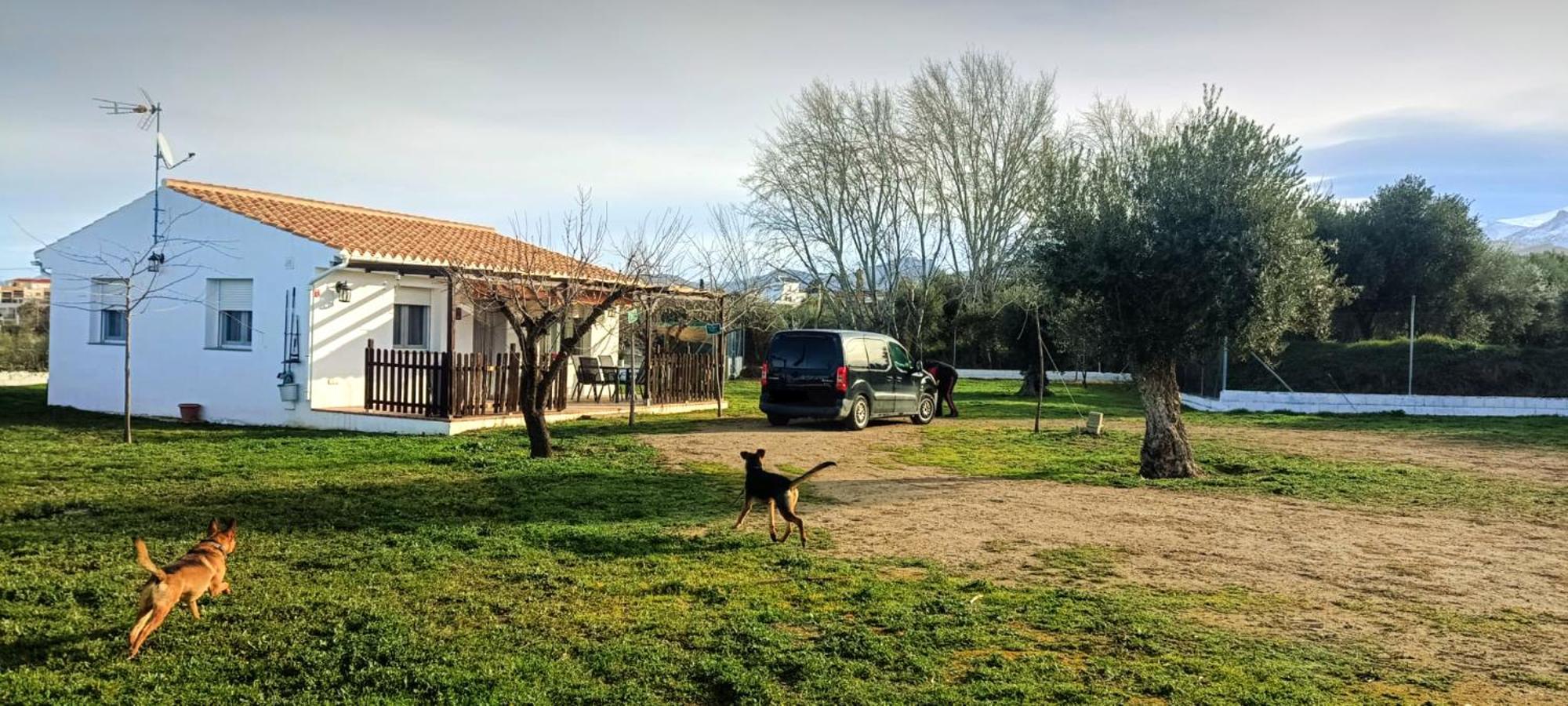 Casa De Campo Los Manueles Ideal Perros Pet Friendly Gojar Exterior photo